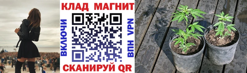Купить закладку Зима Лсд 25 Alpha PVP АМФ Меф КОКАИН ГАШИШ Конопля