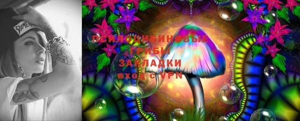 мдпв Баксан