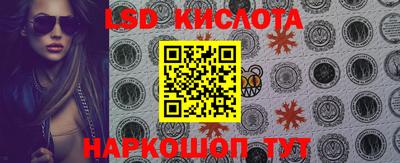 МДПВ Новодвинск