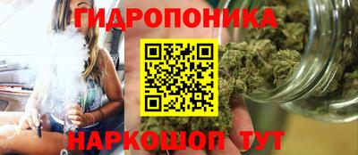 МДПВ Новодвинск