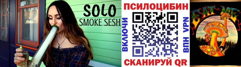Псилоцибиновые грибы Psilocybe  Зима 