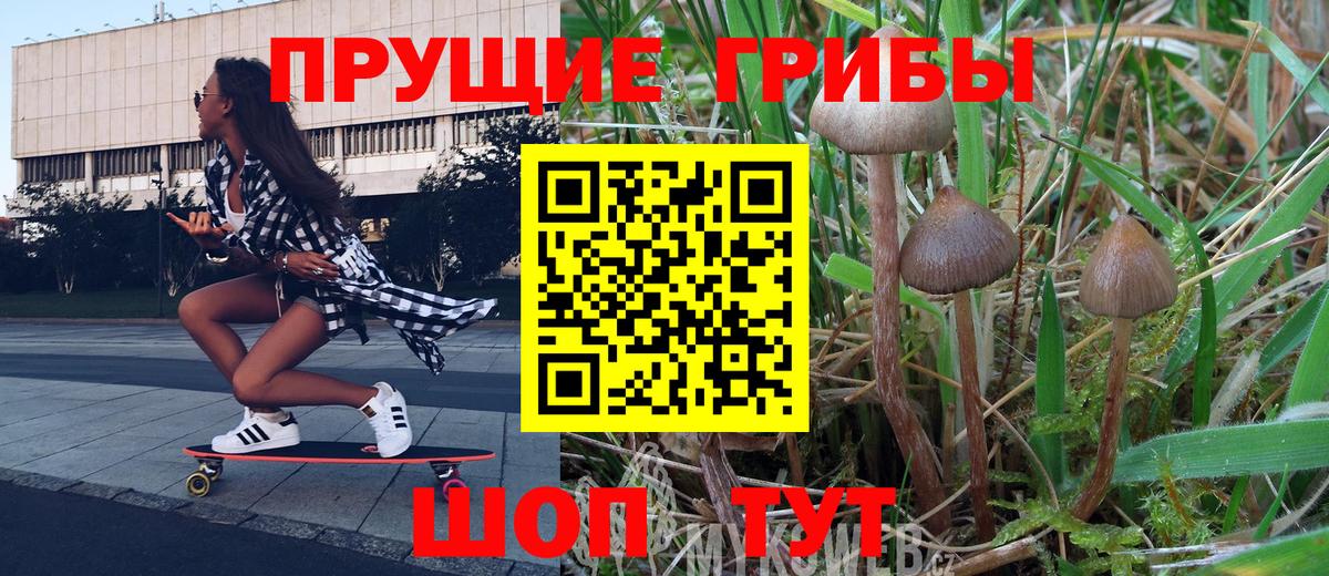 Галлюциногенные грибы Magic Shrooms Зима