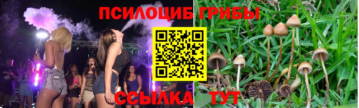 Галлюциногенные грибы Cubensis  Галлюциногенные грибы MAGIC MUSHROOMS  закладки  Вход с VPN  Зима 