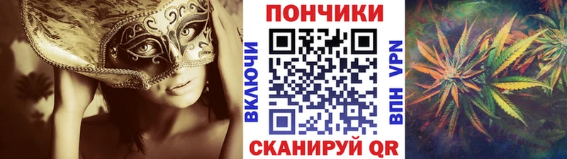Шишки марихуана ГИДРОПОН  Зима 